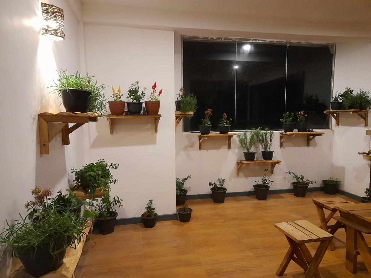 Tea Mount Forest Нувара-Елія Екстер'єр фото